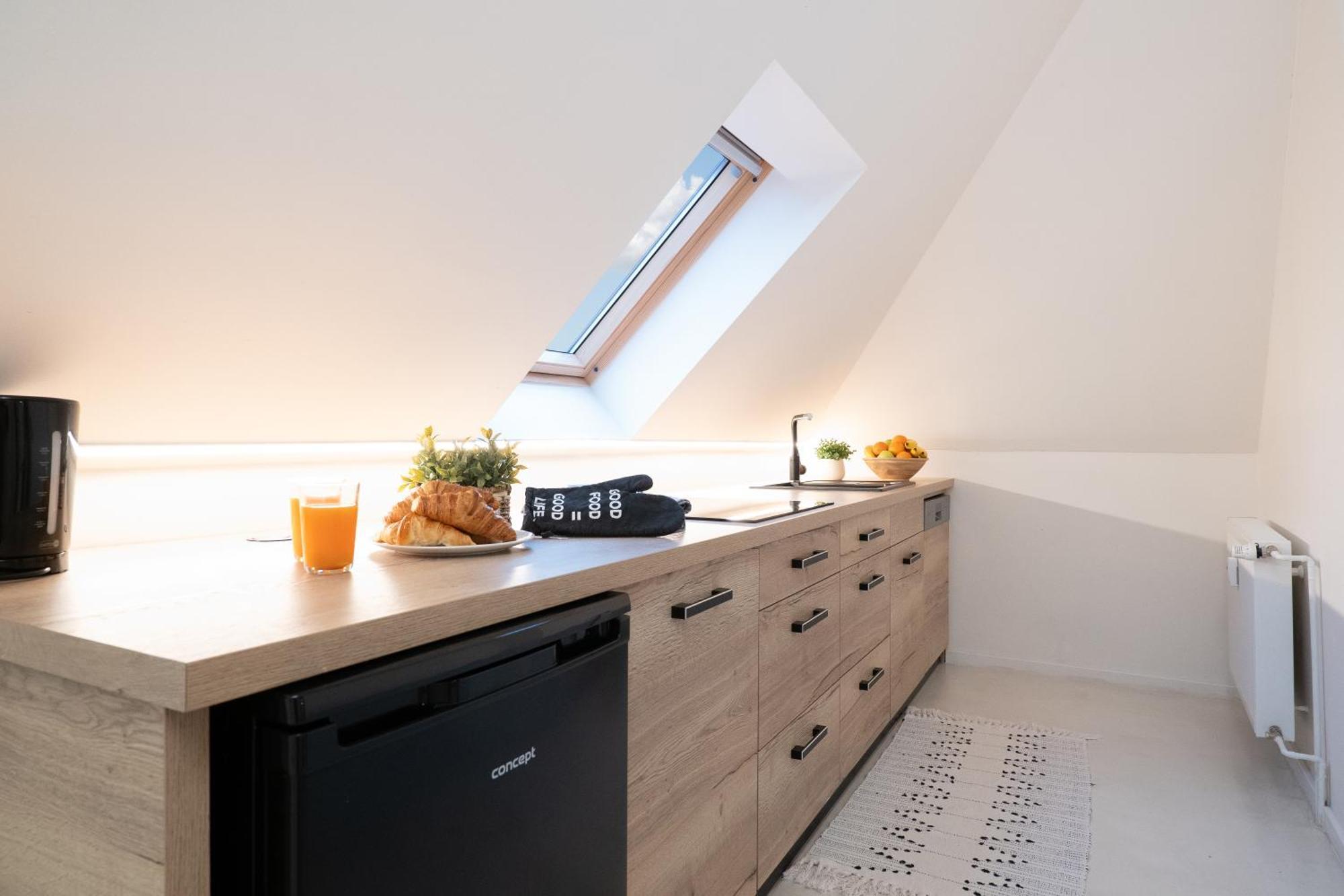 Appartement U Zlate Hvezdy, Karel IV à Litoměřice Extérieur photo